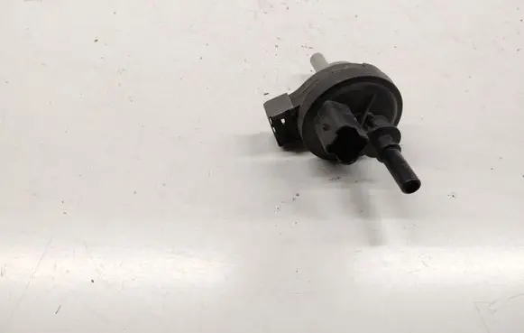 Renault Kangoo II Vacuum valve 269516045