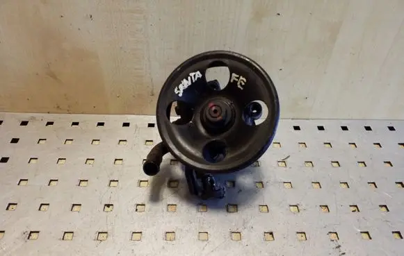 Hyundai Santa Fe Power steering pump 571002B000