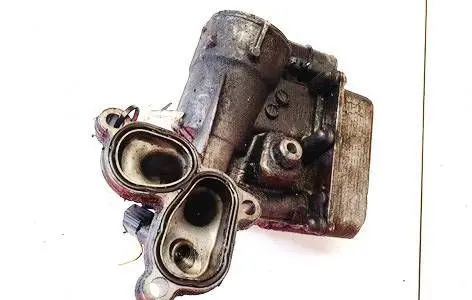 Nissan Qashqai+2 Oil filter cover 