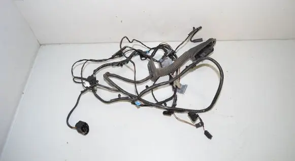 BMW X6 E71 Rear door wiring loom 7209883 63177209883