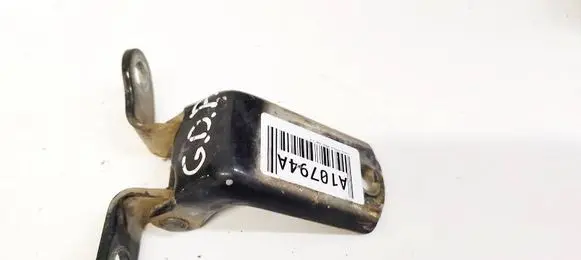 Rear door lower hinge