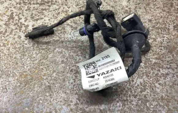 Chevrolet Bolt Headlight/headlamp wiring loom/harness 42542195 2516389 8610800000000X
