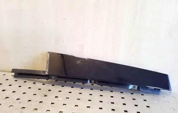 Other rear door trim element