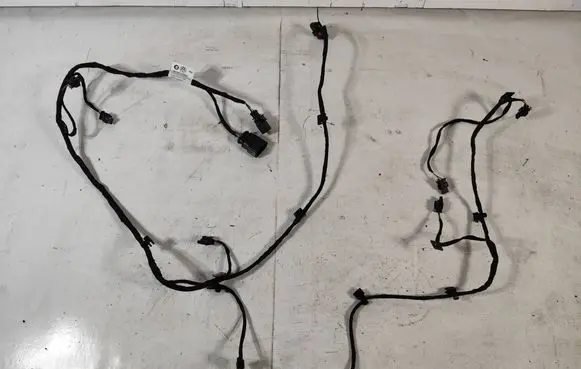 Other wiring loom