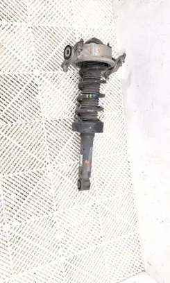 Porsche Cayenne (92A) Rear shock absorber/damper 7P5513029G 7PO512301