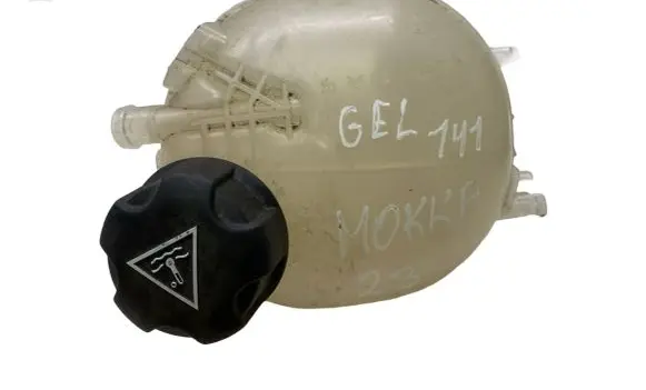 Opel Mokka B Coolant expansion tank/reservoir 9824316180 9824198880