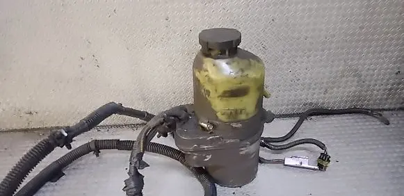 Electric power steering pump
