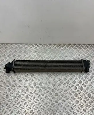 Honda Civic X Intercooler radiator 197105AAA01 FN255004 0070013