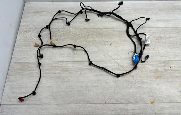 Porsche Taycan 9J1 Front door wiring loom 9J1971162CC TAB052657 31082020
