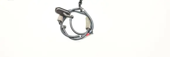 Honda Civic X Rear window washer fluid hose 1032306
