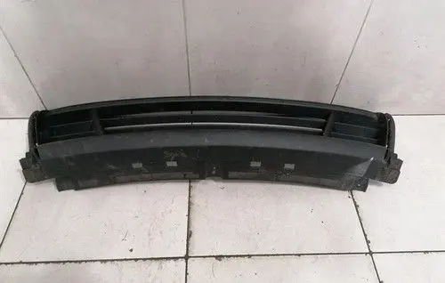 Porsche Panamera (970) Front bumper upper radiator grill 97050598202