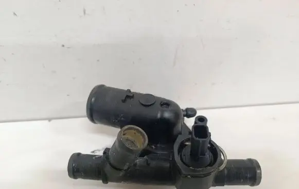 Renault Laguna III Thermostat 