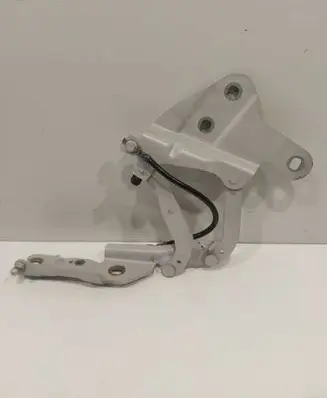BMW X1 E84 Engine bonnet/hood hinges 2990359