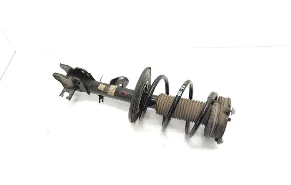 Nissan Murano Z52 Front shock absorber with coil spring 