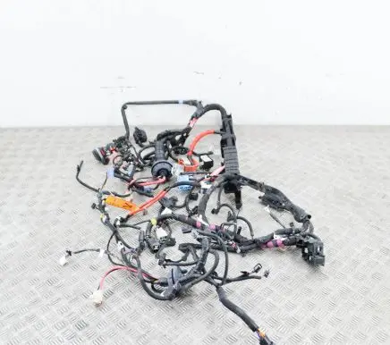Tesla Model 3 Other wiring loom 256796407C