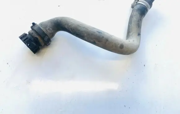 Citroen Berlingo Engine coolant pipe/hose