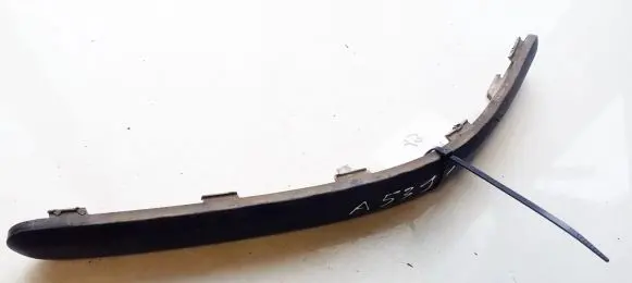 Rear bumper trim bar molding