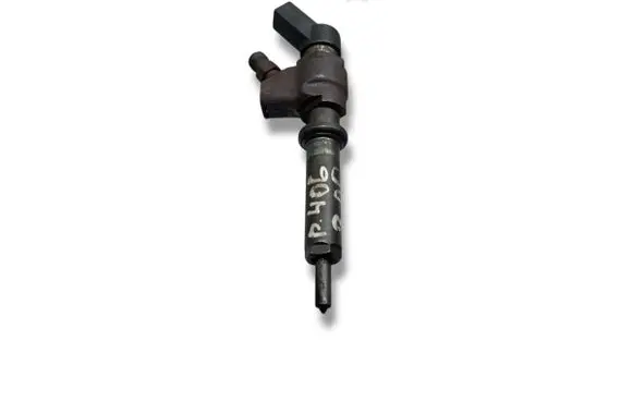 Peugeot 406 Fuel injector 9636819380