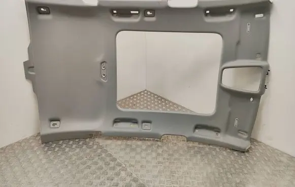 Audi A4 Allroad B9 Headlining 8W9867506N 1820320294 A088304