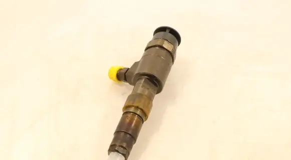 Citroen C3 Fuel injector 0445110339