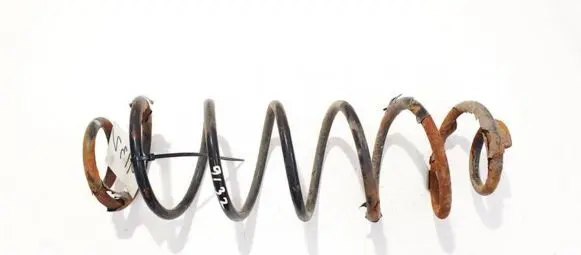 Volkswagen Jetta V Rear coil spring