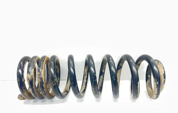 Rear coil spring