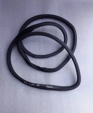 Renault Kadjar Rubber seal rear door 