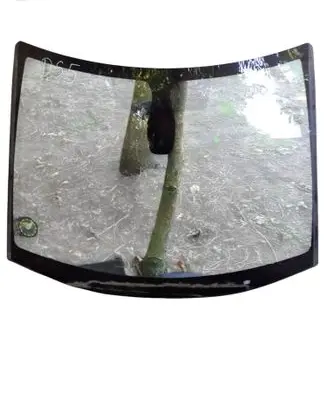 Citroen DS5 Front windscreen/windshield window 43R000996 DOT39AS1394 9665925480