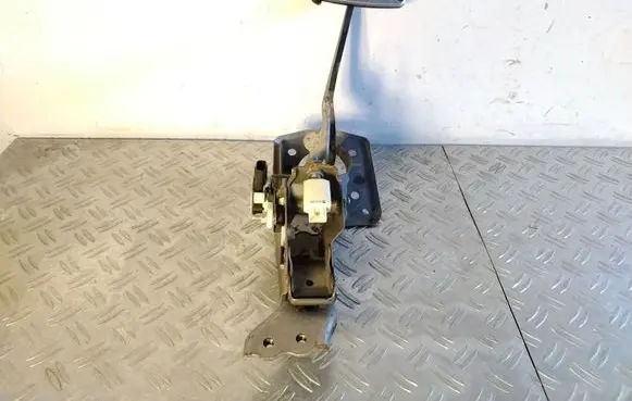 Lexus RX 450H Brake pedal 8951020041