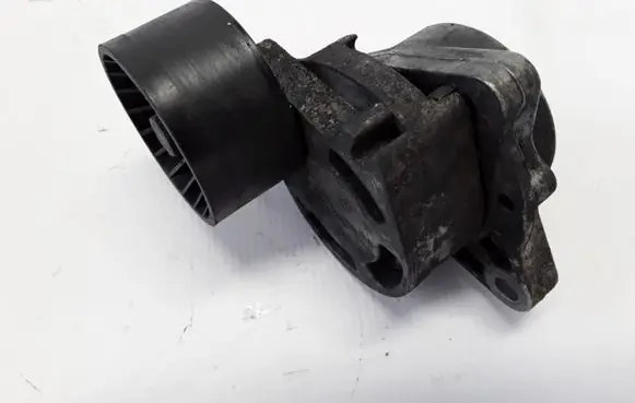 Renault Trafic II (X83) Timing belt/chain tensioner 0802410121