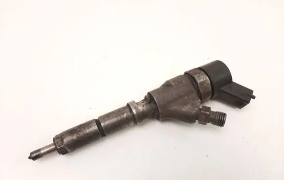 Citroen C5 Fuel injector 9635196580 044110008