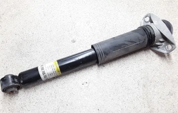 Toyota C-HR I Rear shock absorber with coil spring 48530F4130