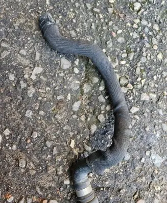 Audi A6 S6 C6 4F Engine coolant pipe/hose