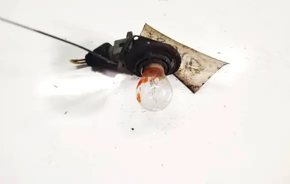 Peugeot 806 Rear tail light bulb 