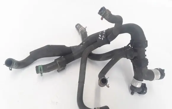 Renault Latitude (L70) Engine coolant pipe/hose 215039295R