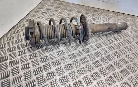 Skoda Octavia Mk2 (1Z) Front shock absorber with coil spring 1k0412331
