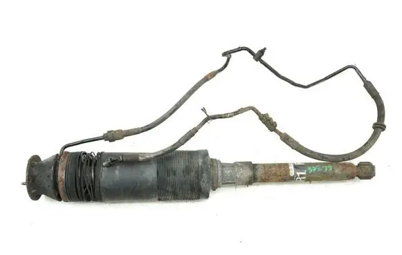 Mercedes-Benz CL C215 Rear shock absorber/damper A2203209013