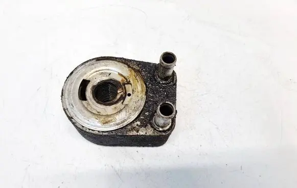 Dodge Magnum Engine oil radiator 