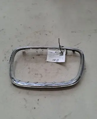 BMW X5 E53 Front grill 51138402645