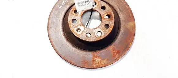Audi A6 S6 C6 4F Rear brake disc NEVENTILIUOJAMAS
