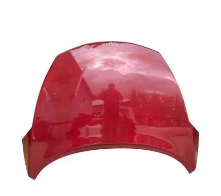 Nissan Juke I F15 Engine bonnet/hood