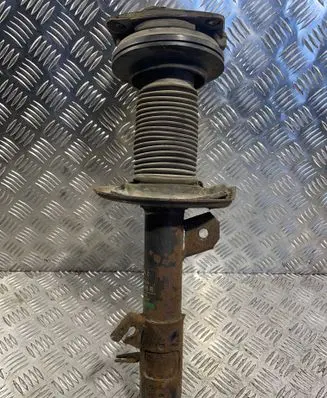 Nissan Qashqai Front shock absorber/damper 54302JD01A