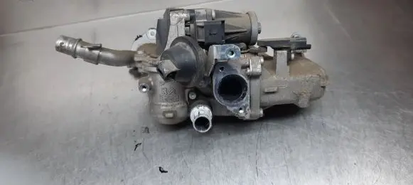 Citroen C4 II EGR valve