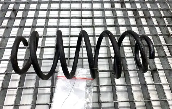 Suzuki Swift IV Rear coil spring 