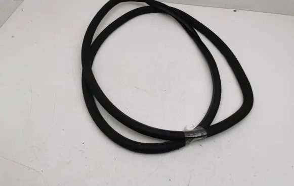 Opel Insignia B Front door rubber seal