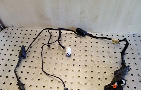 Rear door wiring loom