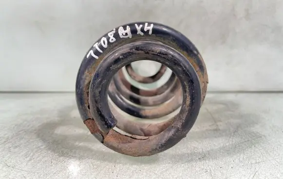 Rear coil spring