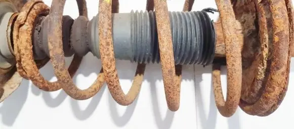 Fiat Punto (176) Front coil spring