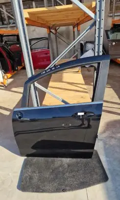 Ford B-MAX Front door
