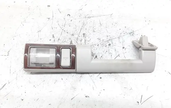 Chrysler Pacifica Rear interior roof grab handle